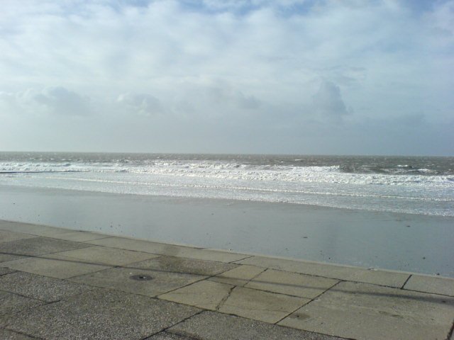 dsc01268.jpg