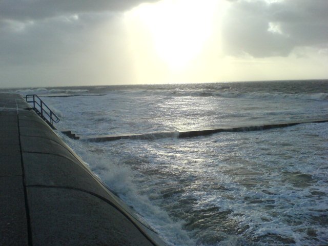 dsc01286.jpg