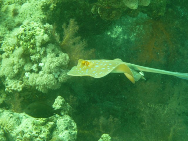 p1030267.jpg