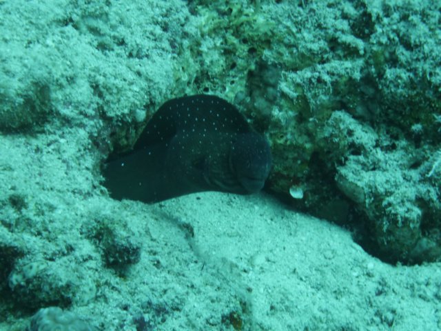 p1030847.jpg