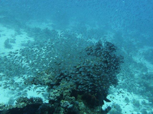 p1030951.jpg