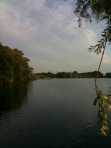 neu031.jpg