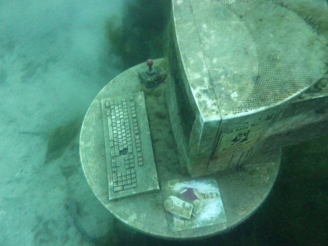 p1000518.jpg