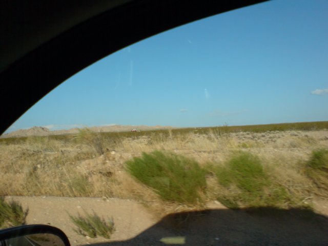 photo1019.jpg