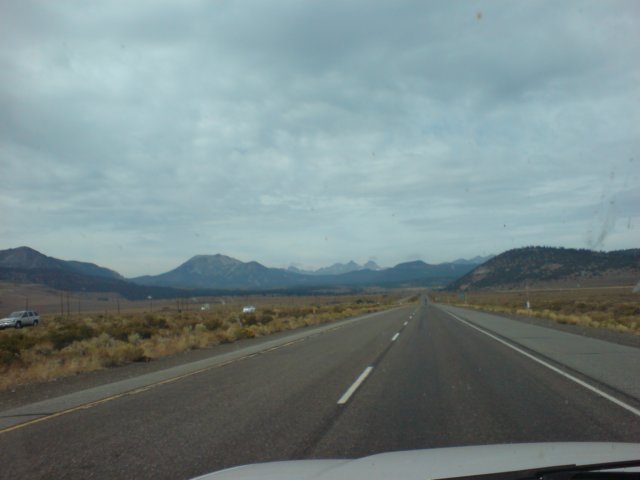 photo1444.jpg