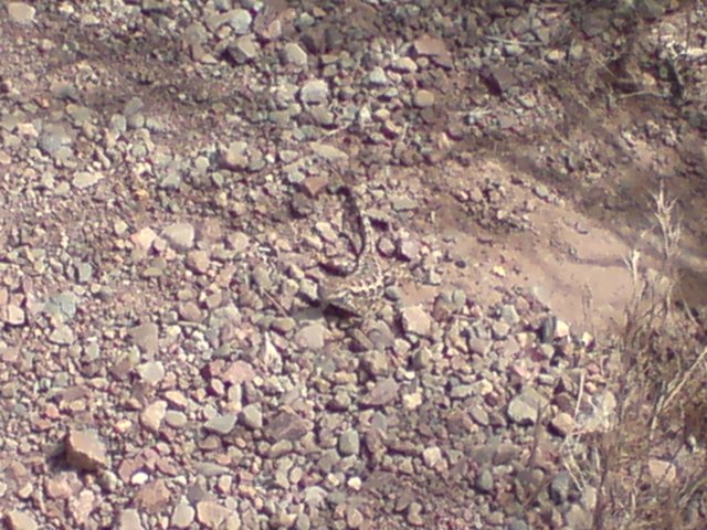 photo1645.jpg