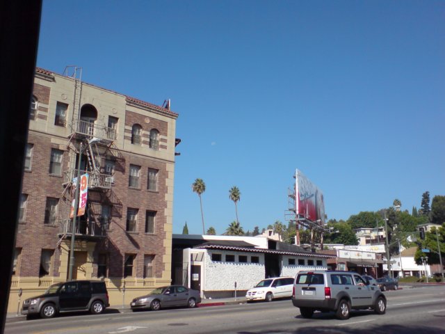 photo303.jpg