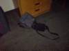 photo999_small.jpg