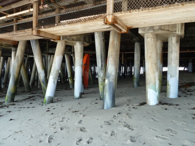 p1000468.jpg