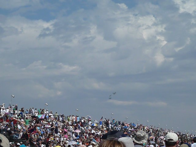 p1000972.jpg