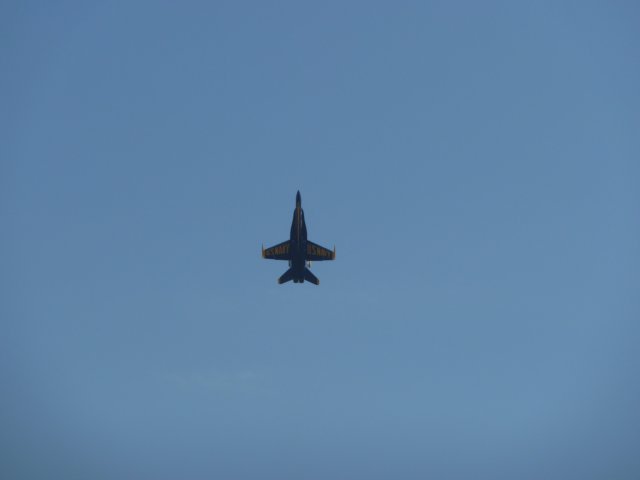 p1010149.jpg