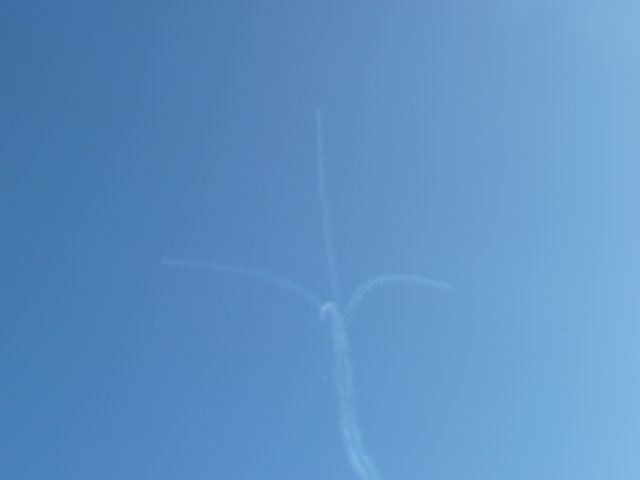 p1010160.jpg
