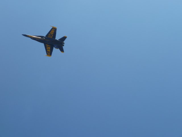 p1010166.jpg