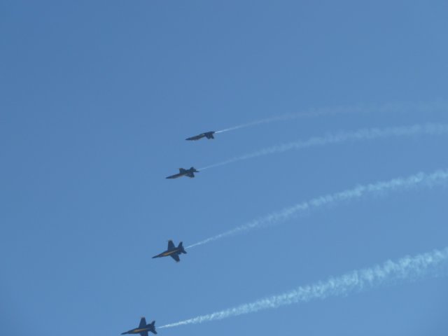 p1010168.jpg