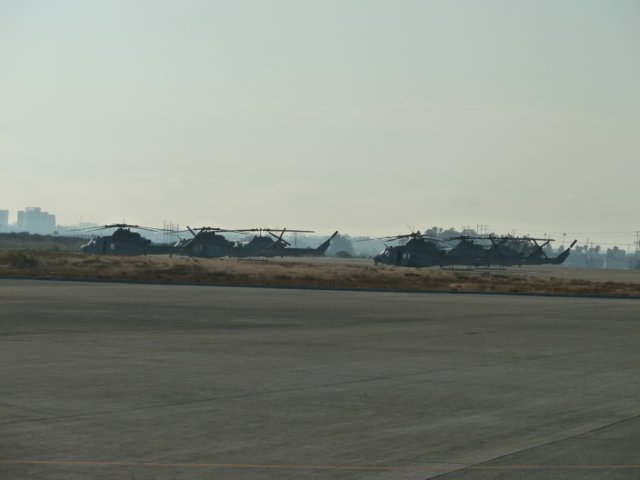 p1010188.jpg