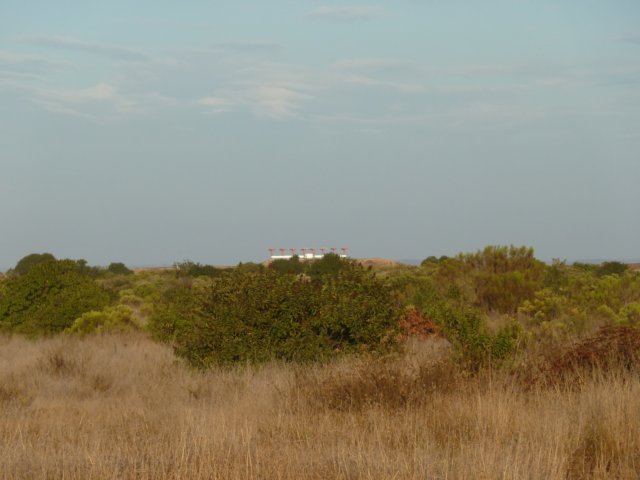 p1010203.jpg