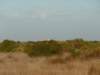 p1010203_small.jpg