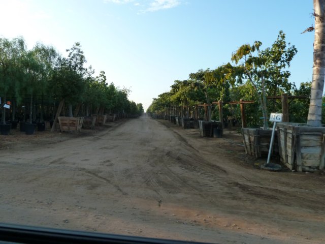 p1010206.jpg