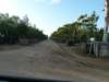 p1010206_small.jpg
