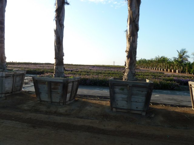 p1010207.jpg