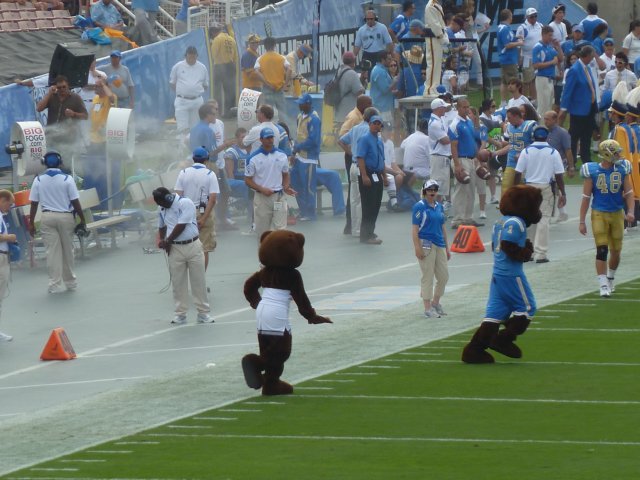 p1010247.jpg