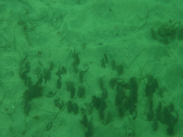 p1010267.jpg