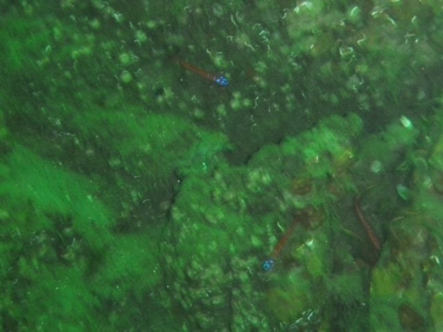 p1010330.jpg