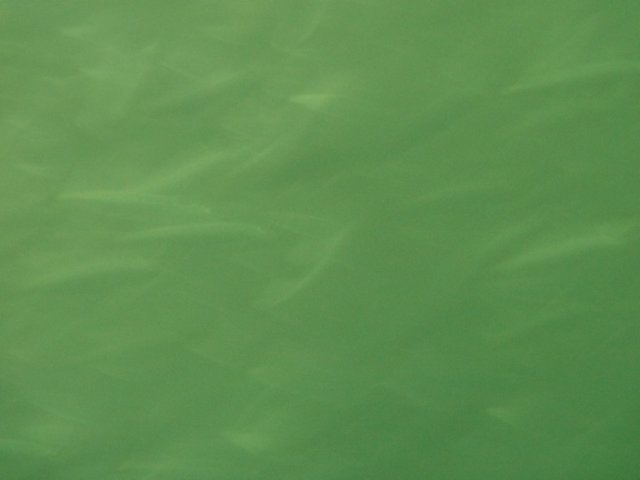 p1010347.jpg