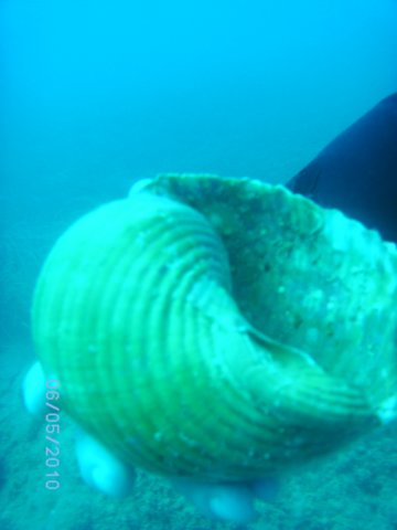 pict0687.jpg
