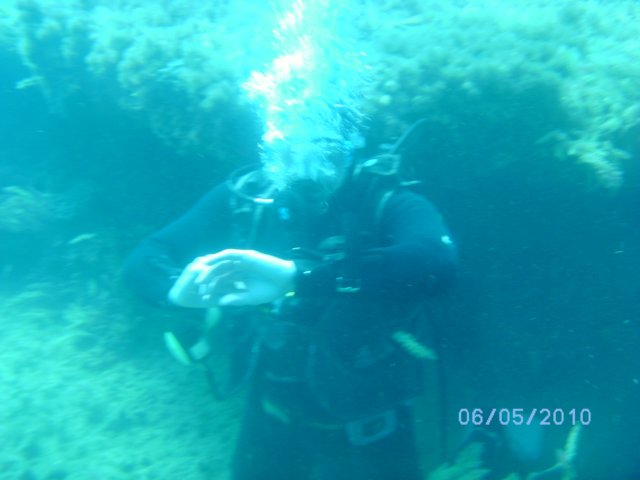 pict0706.jpg