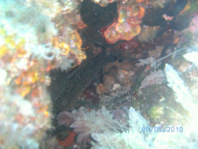 pict0708.jpg