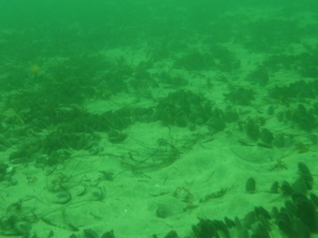 p1010271.jpg