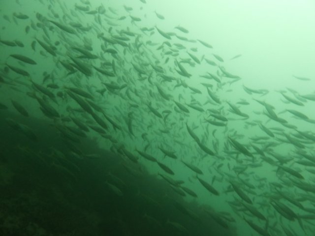 p1010317.jpg