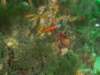 p1010325_small.jpg