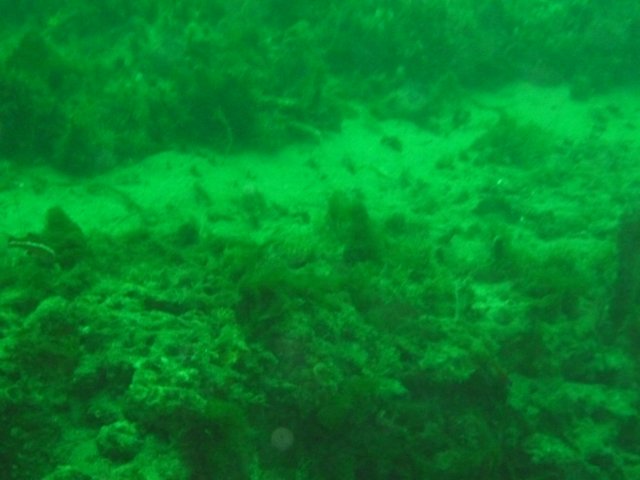 p1010335.jpg