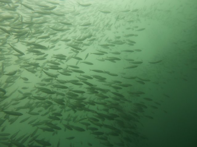 p1010341.jpg