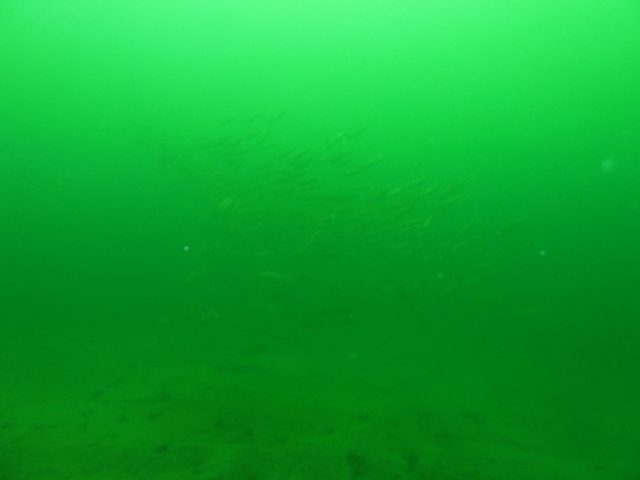 p1010351.jpg