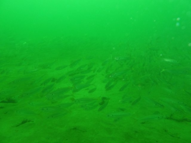 p1010355.jpg