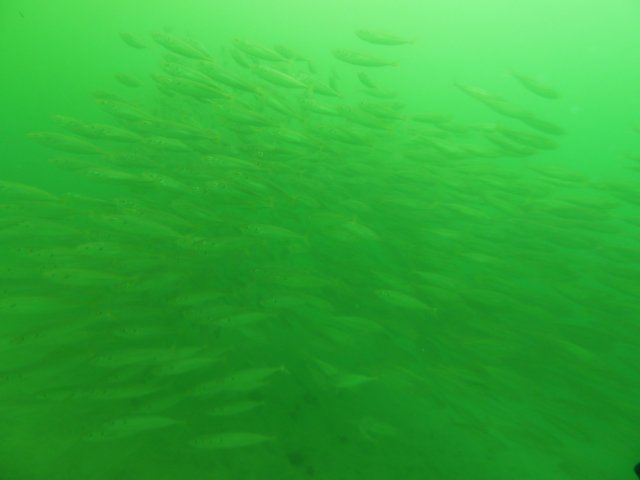 p1010359.jpg