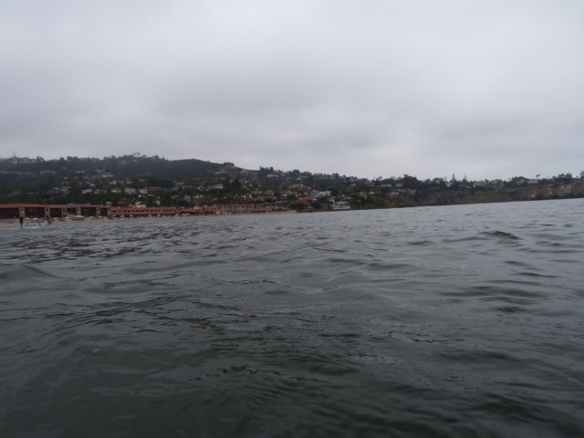 p1010365.jpg