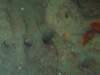 p1010379_small.jpg