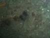 p1010396_small.jpg