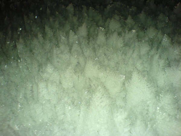 neukirchen20061.jpg