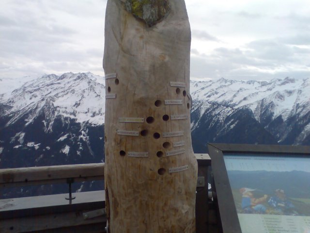 neukirchen200724.jpg