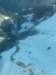 neukirchen20076_small.jpg