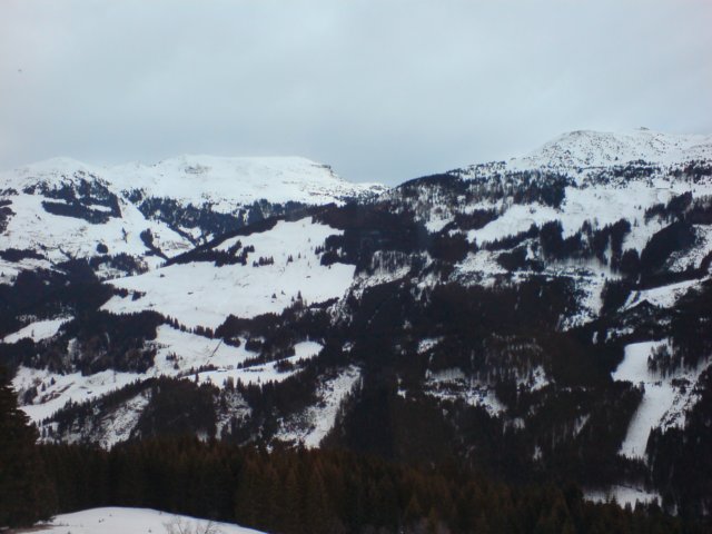 neukirchen2008085.jpg