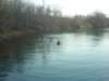 rheinbach0612200617_small.jpg