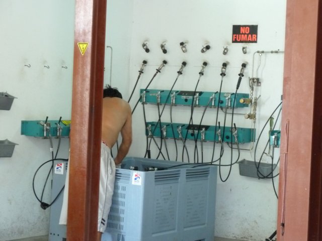 p1040641.jpg