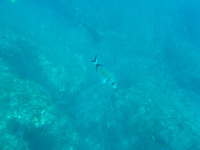 p1040661.jpg