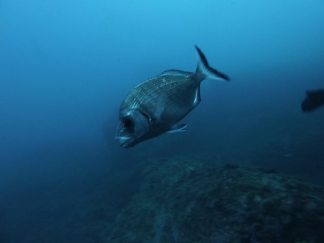 p1040672.jpg